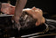 The Head Spa Experience Your Scalp Has Been Waiting For